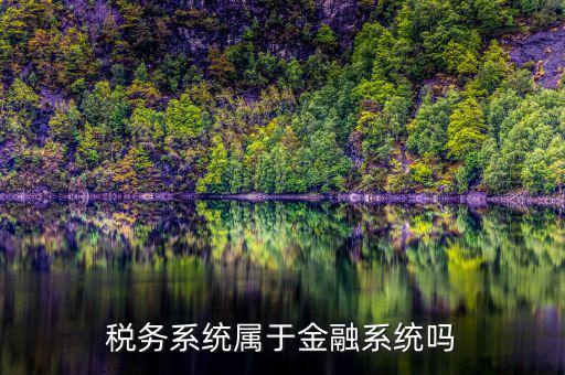 什么是稅務(wù)金山系統(tǒng)，稅收征管兩個系統(tǒng)是什么