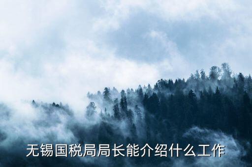 無錫地稅局長接待日是什么，無錫國稅局局長能介紹什么工作