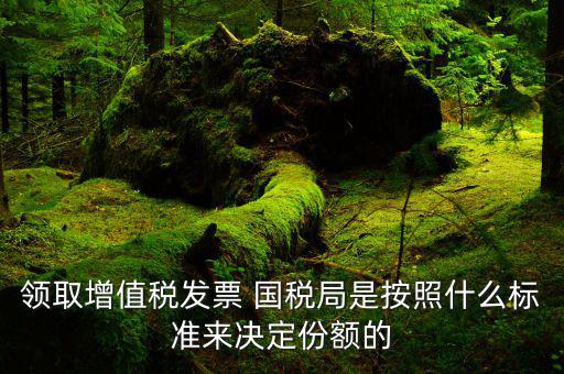 領增值稅票有什么要求，對新開戶一般納稅人領購增值稅專用發(fā)票有什么要求