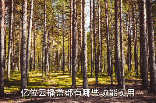 億企助手有什么用，億位云播盒都有哪些功能實用