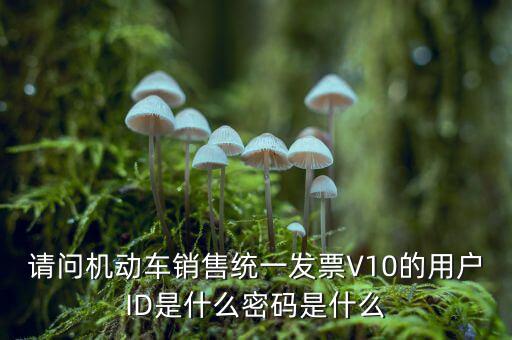 發(fā)票登錄密碼是什么，國稅局發(fā)票軟件里用戶代碼和密碼是什么