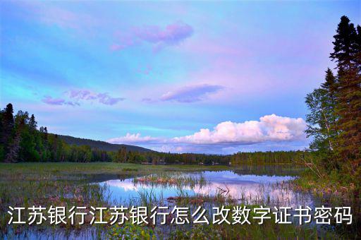 如何改數(shù)字證書密碼是什么意思，建行重新申請(qǐng)數(shù)字證書之后的登陸密碼是什么