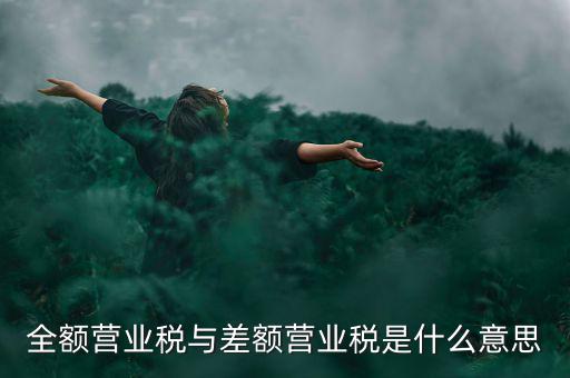 什么叫差額征稅，什么是差額稅