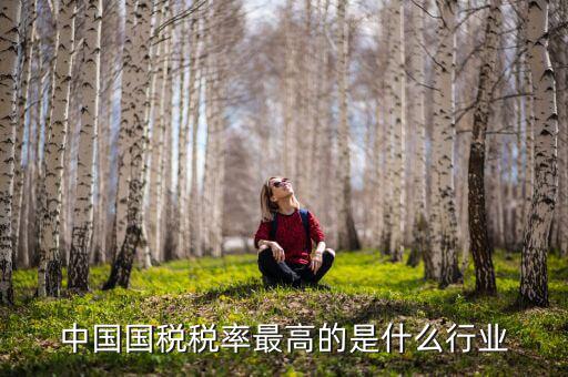 什么行業(yè)國稅最高，云南稅收得最多的是什么行業(yè)的呢