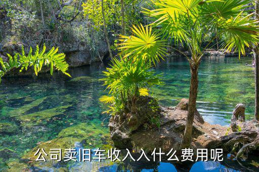 公司賣出二手車入賬要什么，求助我們公司才賣掉一輛車收的現(xiàn)金請問摘要填寫什么用幾號