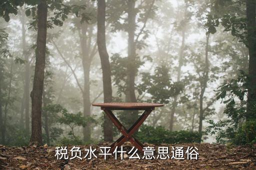 稅收管理水平是指什么，稅務(wù)管理的定義