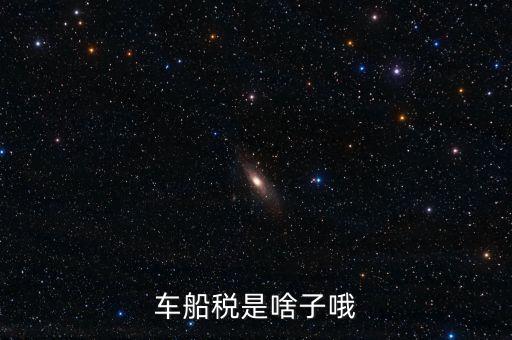保險的車船稅是什么，車船稅是啥子哦