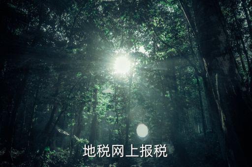地稅網上需要報什么稅，網上報稅地稅國稅各有哪些稅種