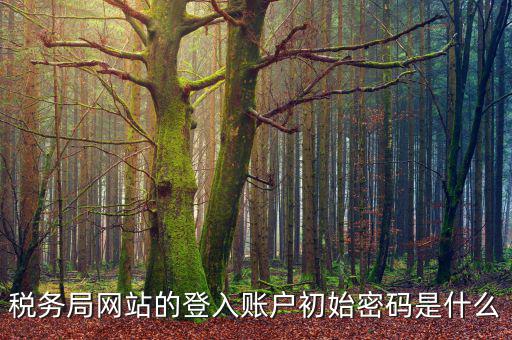 浙江國(guó)稅登入密碼是什么，稅務(wù)局網(wǎng)站的登入賬戶初始密碼是什么