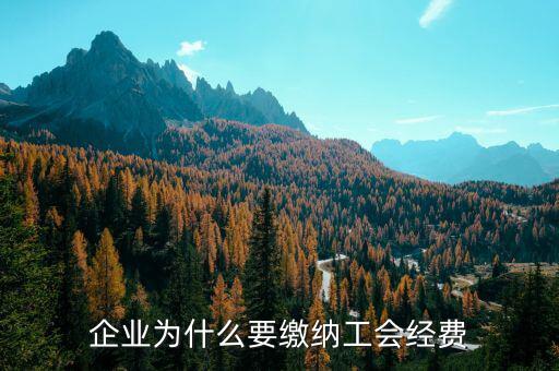 公司為什么要成立工會經(jīng)費(fèi)，企業(yè)為什么要繳納工會經(jīng)費(fèi)