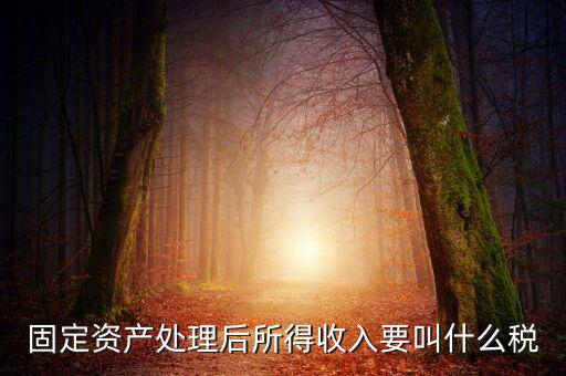 什么叫做試點(diǎn)納稅人，固定資產(chǎn)處理后所得收入要叫什么稅