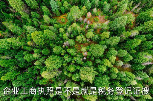 什么是工商稅務(wù)登記證，什么是稅務(wù)證