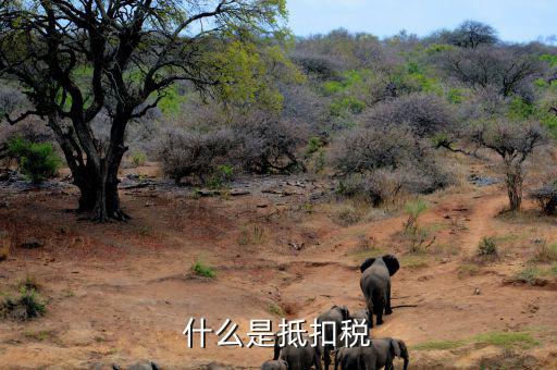 什么是稅費(fèi)抵扣，抵扣是什么概念