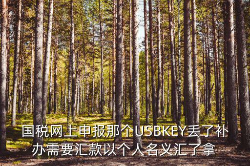 稅務(wù)ukey是什么意思，國(guó)稅網(wǎng)上申報(bào)那個(gè)USBKEY丟了補(bǔ)辦需要匯款以個(gè)人名義匯了拿