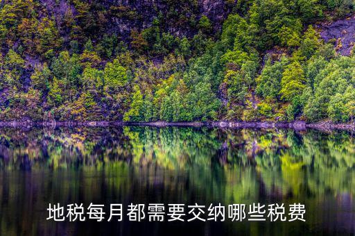 濟寧地稅收什么稅，地稅每月都需要交納哪些稅費