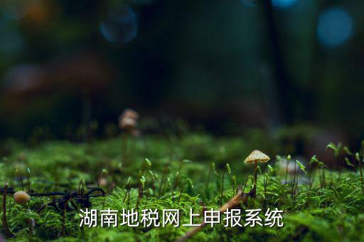 湖南省的地稅報(bào)稅軟件是什么，湖南地稅網(wǎng)上申報(bào)系統(tǒng)