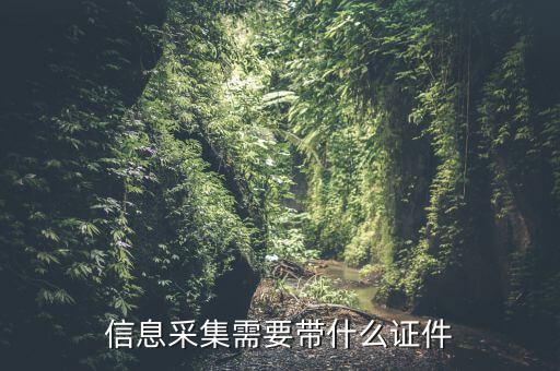實名信息采集帶什么東西，去銀行辦理對公信息采集表需要帶哪些東西