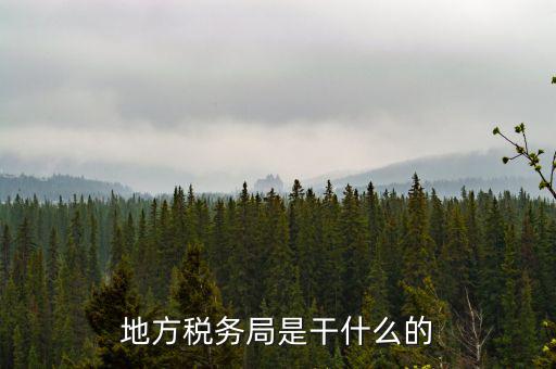 地稅局涉外稅收做什么，陜西發(fā)票涉外地稅是什么意思