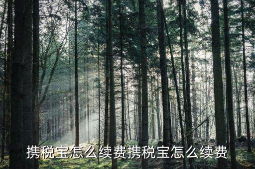 稅寶續(xù)費帶什么意思，攜稅寶續(xù)費后怎樣使用