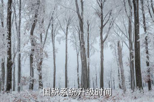 稅務(wù)系統(tǒng)什么時(shí)候更新的，深圳國稅系統(tǒng)什么時(shí)候換的