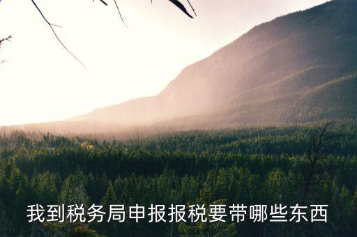 去ems申報(bào)稅務(wù)需要帶什么區(qū)別，我到稅務(wù)局申報(bào)報(bào)稅要帶哪些東西