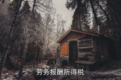 什么是勞動(dòng)報(bào)酬稅，勞務(wù)稅是什么