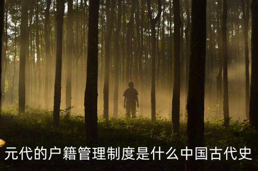 元代的戶(hù)籍管理制度是什么中國(guó)古代史