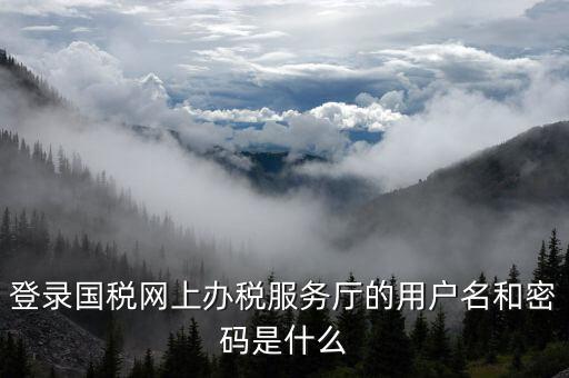 電子稅務(wù)局登陸用戶(hù)名是什么，登錄國(guó)稅網(wǎng)上辦稅服務(wù)廳的用戶(hù)名和密碼是什么