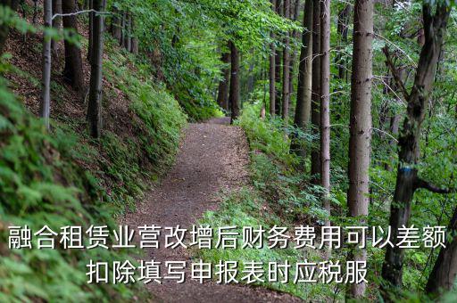 應(yīng)稅服務(wù)扣除項目清單干什么用，應(yīng)稅服務(wù)扣除項目清單中允許扣除項目金額指的是什么是總
