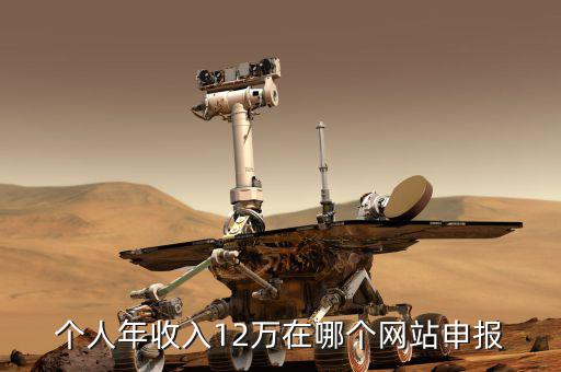 江蘇12萬報(bào)稅在什么網(wǎng)站上，江蘇省地稅網(wǎng)上報(bào)稅網(wǎng)址