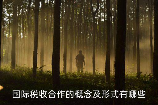 國際稅源是什么意思，國際稅收合作的概念及形式有哪些
