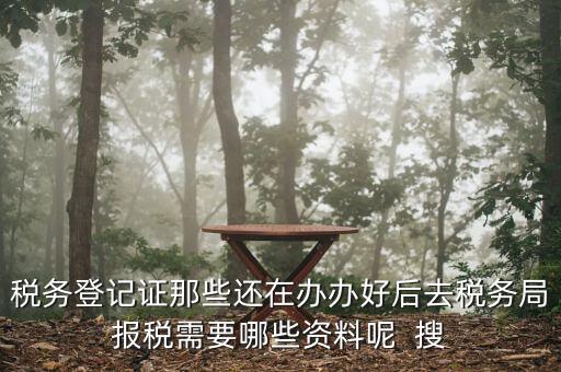 新辦企業(yè)稅務(wù)局需要什么資料，稅務(wù)登記證那些還在辦辦好后去稅務(wù)局報稅需要哪些資料呢  搜