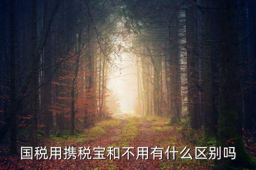 稅寶是什么，國(guó)稅用攜稅寶和不用有什么區(qū)別嗎