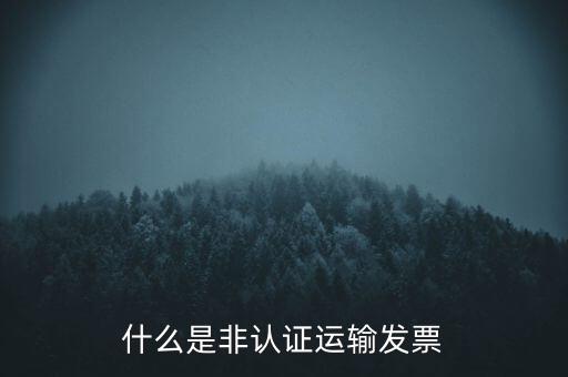 運(yùn)輸票是什么，運(yùn)輸發(fā)票是普通發(fā)票嗎