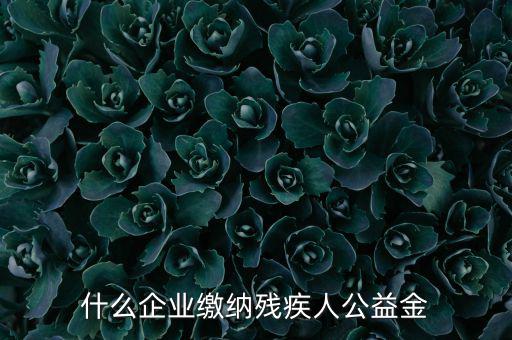 什么企業(yè)需申報(bào)殘疾人保障金，哪些單位應(yīng)該繳納殘疾人保障基金
