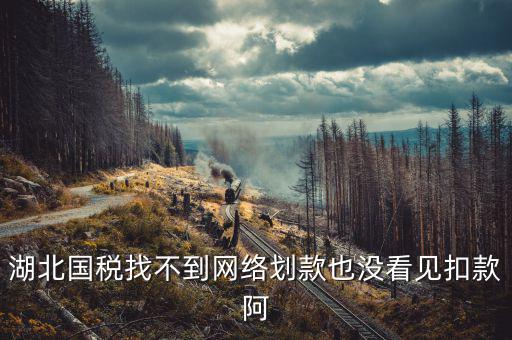 湖北省國稅局四個確保是什么，湖北國稅找不到網(wǎng)絡(luò)劃款也沒看見扣款阿
