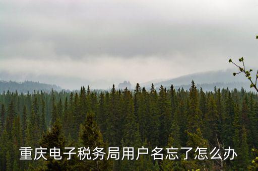 重慶電子稅務局的網址是什么意思，重慶市國稅電子申報委托繳稅的網址