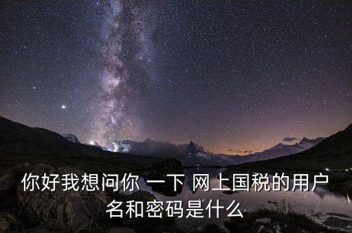 網上稅務辦理密碼是什么意思，國稅第一次網上申報的登陸密碼是什么