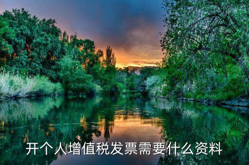 個(gè)人發(fā)票要帶什么資料，個(gè)人購(gòu)物開增值稅普通發(fā)票需要什么資料