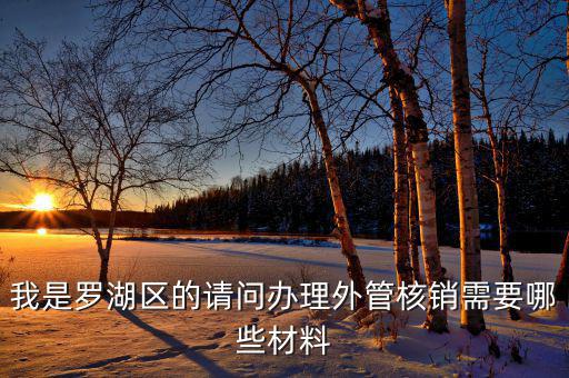 深圳外經(jīng)證核銷需要什么資料，我是羅湖區(qū)的請(qǐng)問(wèn)辦理外管核銷需要哪些材料