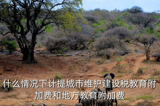 什么情況下免交地方教育稅附加，什么情況下計提城市維護建設稅教育附加費和地方教育附加費