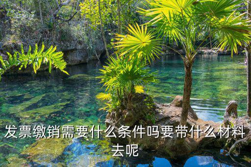 票證結(jié)報(bào)繳銷包括什么，去國稅局做稅票結(jié)報(bào)要帶哪些東西