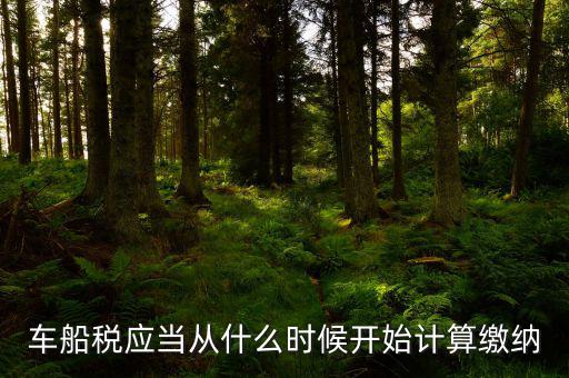 車船什么時間申報，車船稅應(yīng)當在什么時候申報繳納 承德