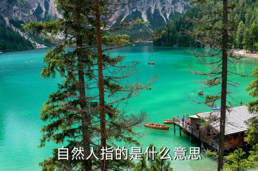 稅務自然人是指什么意思，申請人為自然人的是什么意思
