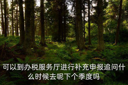 據(jù)實申報是按照什么申報，可以到辦稅服務(wù)廳進(jìn)行補(bǔ)充申報追問什么時候去呢下個季度嗎