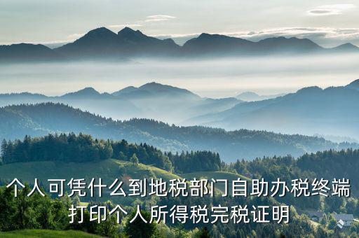 稅務(wù)局自助辦稅服務(wù)終端是什么，自助辦稅終端 報稅