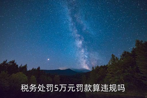 稅務(wù)重大違規(guī)是指什么，登錄國稅國稅的違章信息是什么意思
