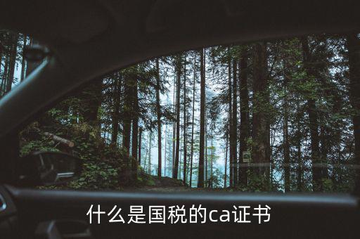 ca稅務(wù)數(shù)字證書是什么，什么是國(guó)稅的ca證書