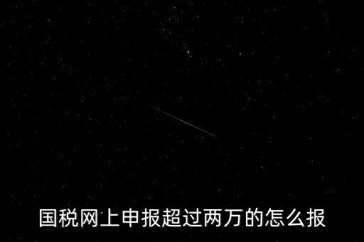 國稅網(wǎng)報入口是什么，怎樣才能進入小規(guī)模納稅人增值稅網(wǎng)上申報系統(tǒng)