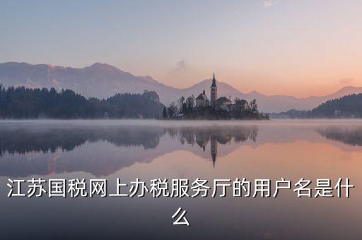 網(wǎng)上辦稅平臺(tái)帳號(hào)是什么，地稅網(wǎng)上申報(bào)用什么帳號(hào)